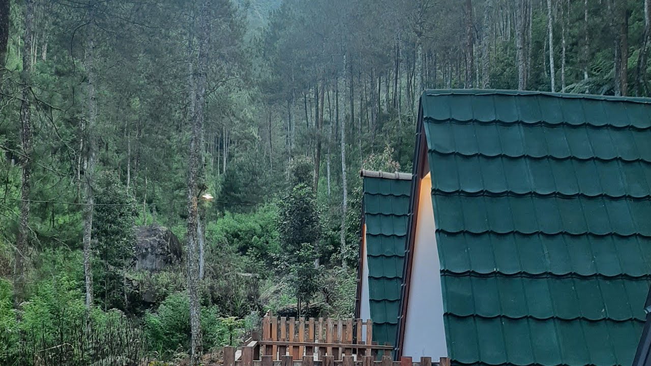 Telomoyo Nature Park: Surga Alam Tersembunyi di Lereng Gunung Merbabu